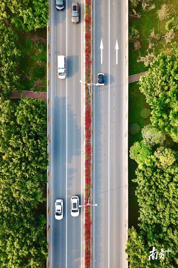 公路两侧的绿化美化,大大提升城市的颜值。 公路两侧的绿化美化,大大提升城市的颜值。