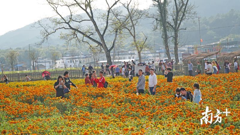 翁源县江尾镇连溪村乡村旅游越来越火爆。张方勇 摄