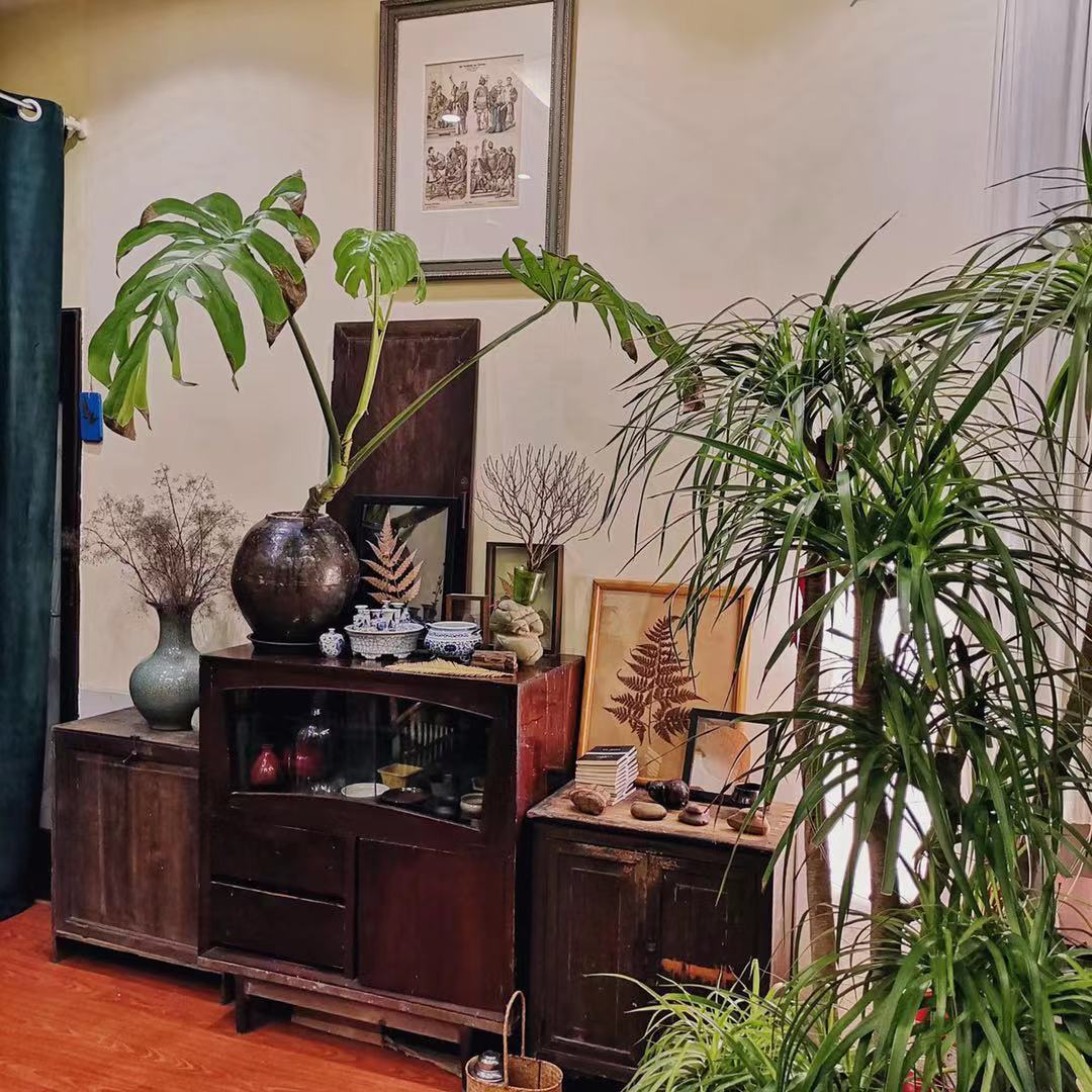 植屋的客厅。受访者供图