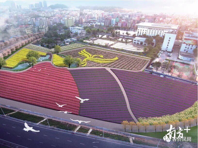 效果图