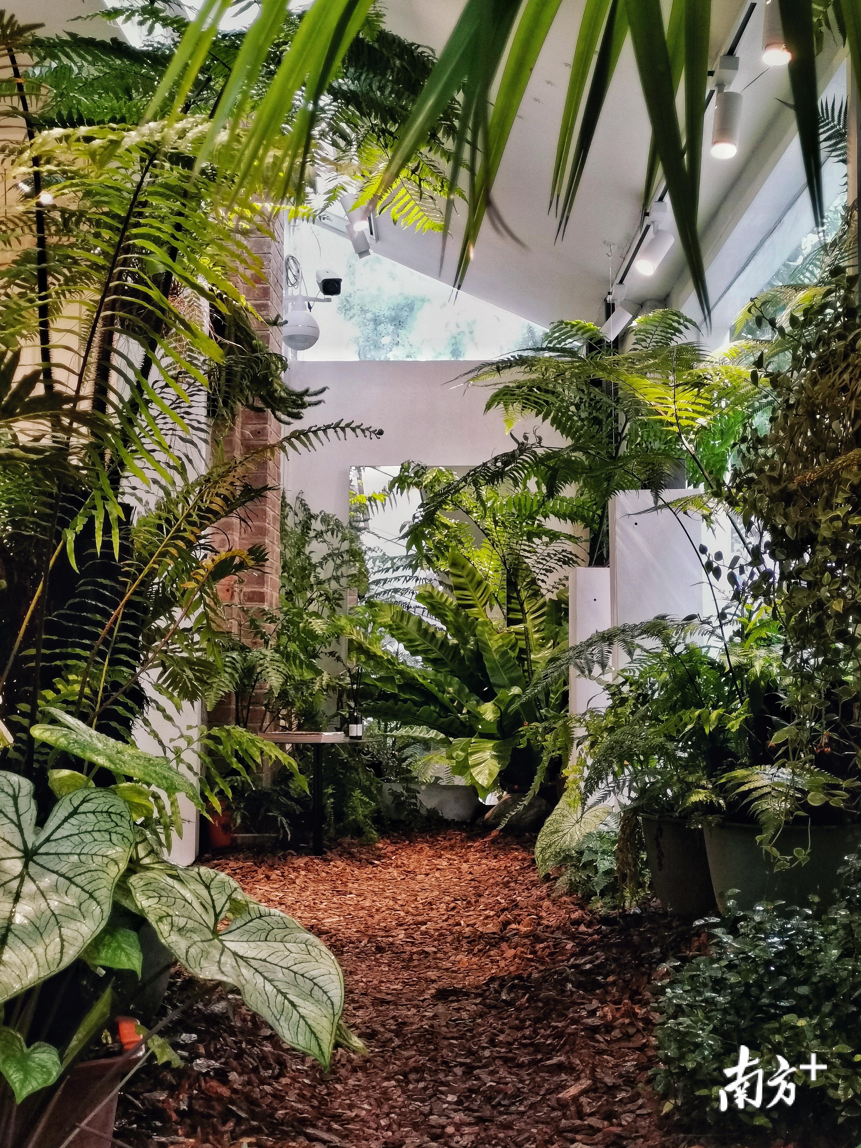 “白鸟四季•夏”的景观。