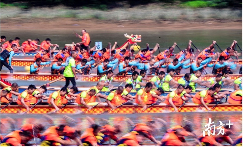 佛山市第一届镇街龙舟争霸赛。资料图片 佛山市第一届镇街龙舟争霸赛。资料图片