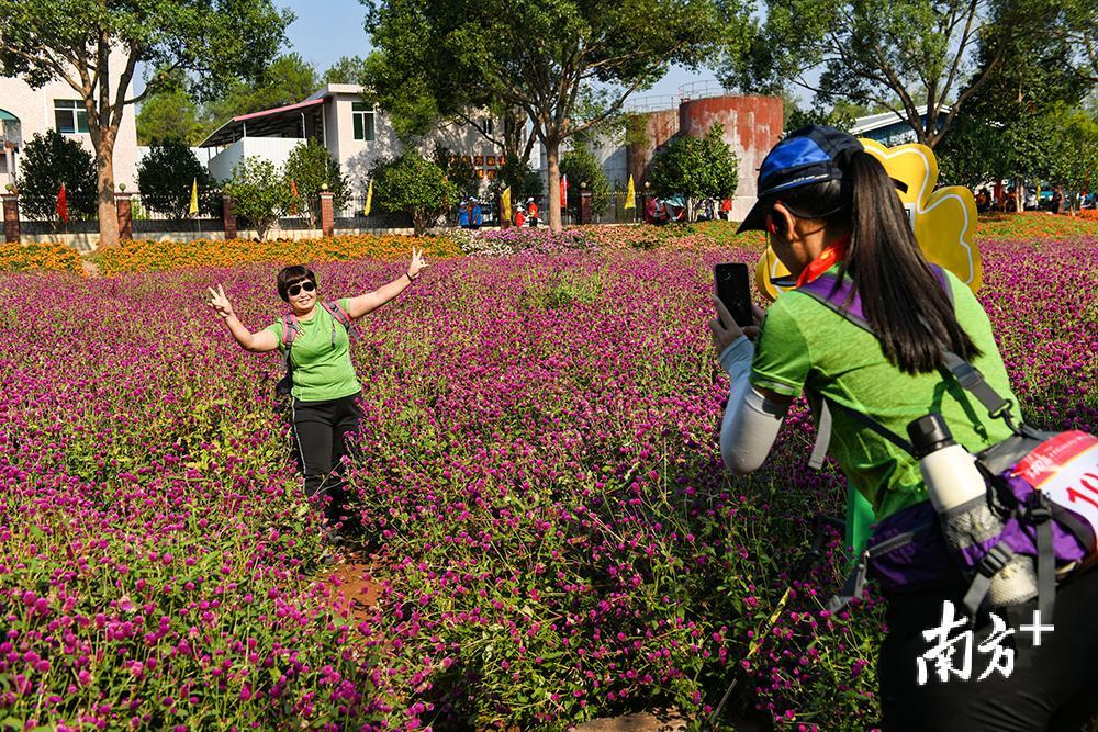 天气晴朗花海飘香，不少徒步爱好者都忍不住拍照打卡。