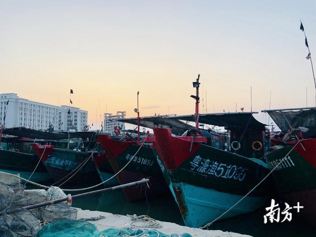 目前广澳后江乡镇渔港建设项目已完成初设方案编制工作。余丹 摄 目前广澳后江乡镇渔港建设项目已完成初设方案编制工作。余丹 摄