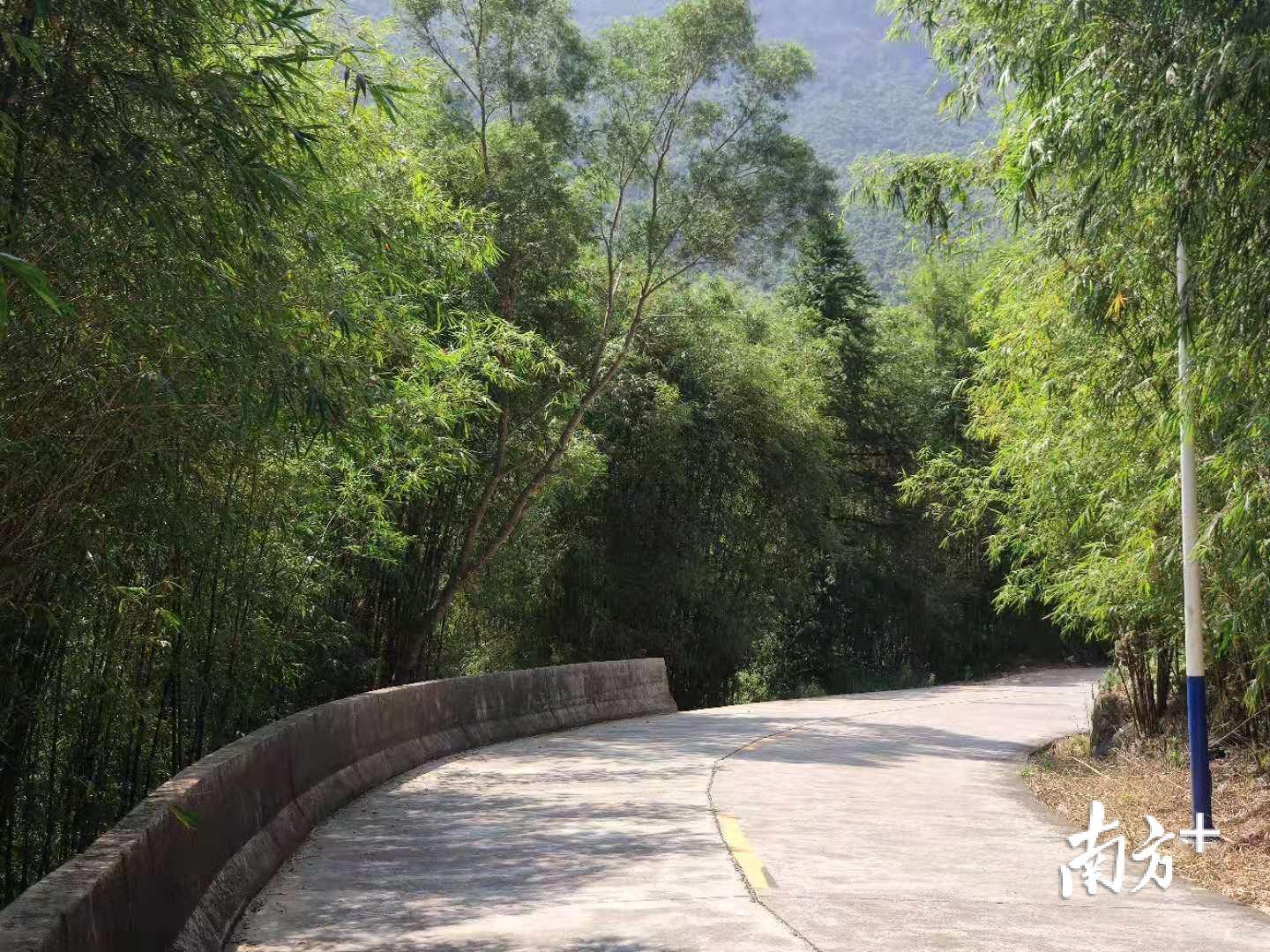641县道边的缺口下是一条小河。