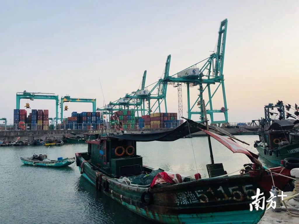 前澳埠村实现社区渔船停产转产实现100%签约。余丹 摄 前澳埠村实现社区渔船停产转产实现100%签约。余丹 摄