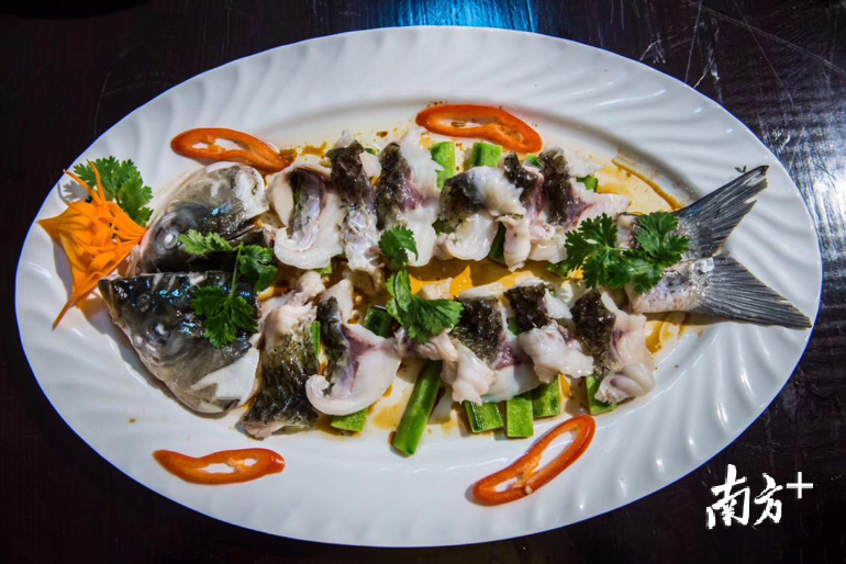 无骨鱼。 无骨鱼。