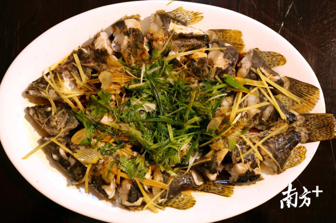 黄辣丁鱼。 黄辣丁鱼。