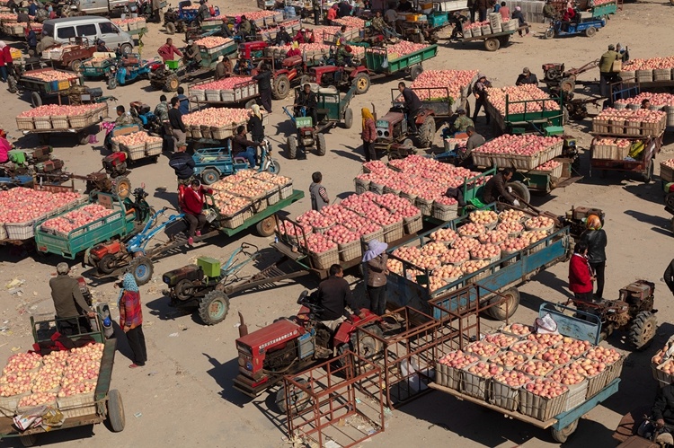 苹果交易市场. 张晓(图片由组委会提供)