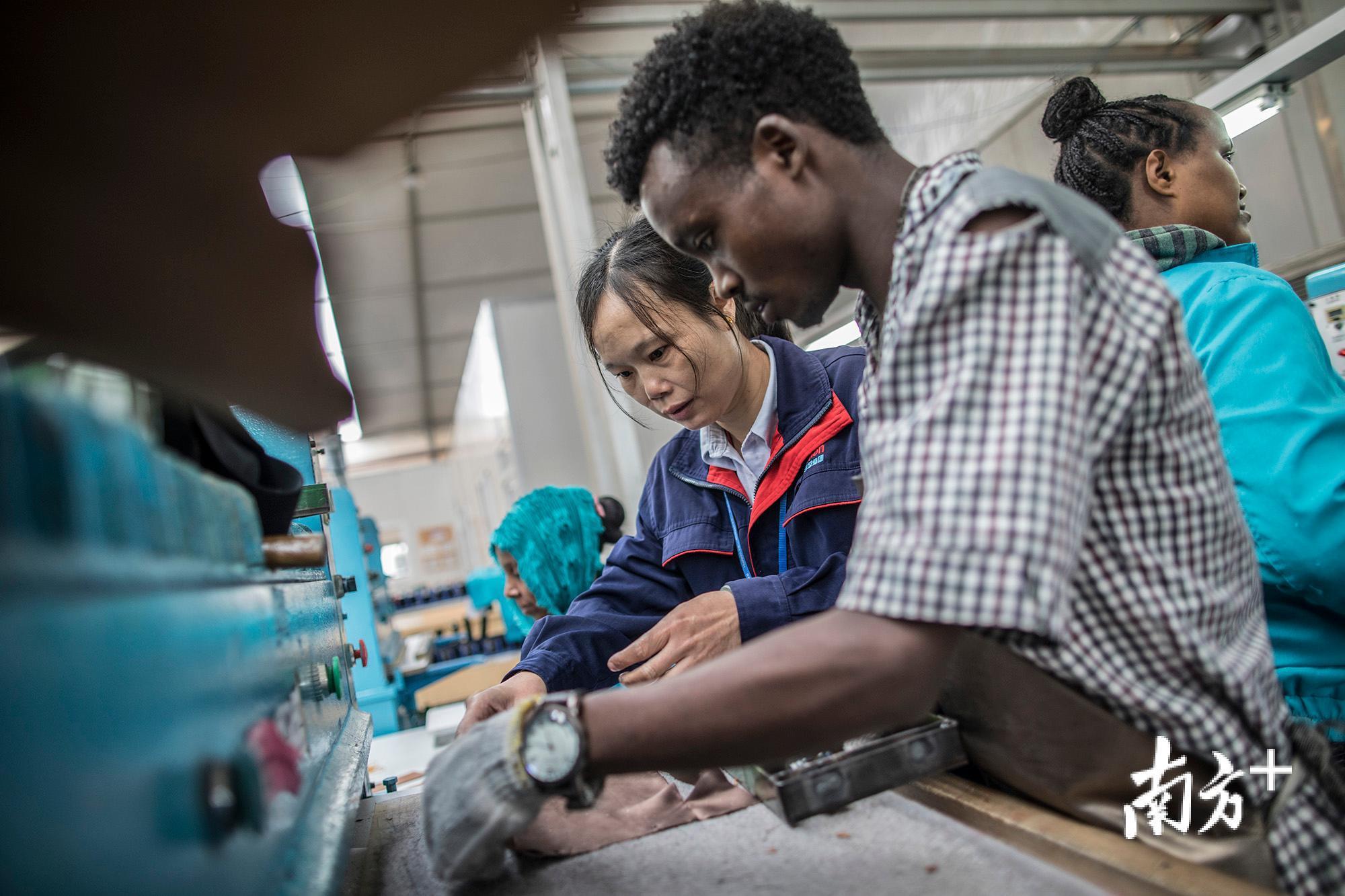 来自江西的刘述平(左一)正在教埃塞俄比亚员工制鞋的技术,她来到埃塞俄比亚已有四年半。 来自江西的刘述平(左一)正在教埃塞俄比亚员工制鞋的技术,她来到埃塞俄比亚已有四年半。