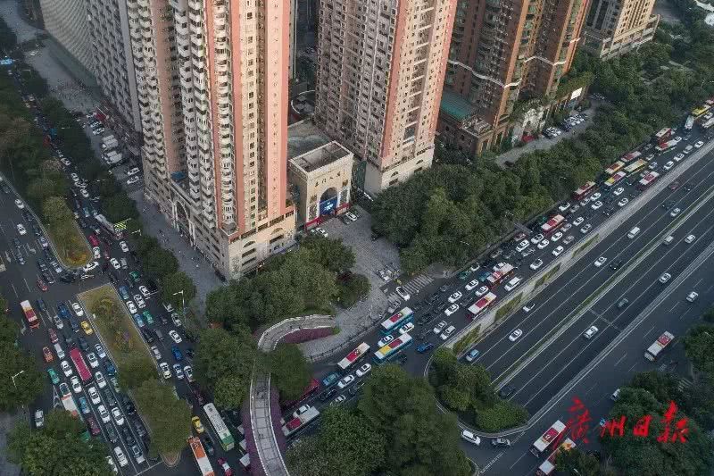广州日报全媒体记者 杨耀烨 摄
