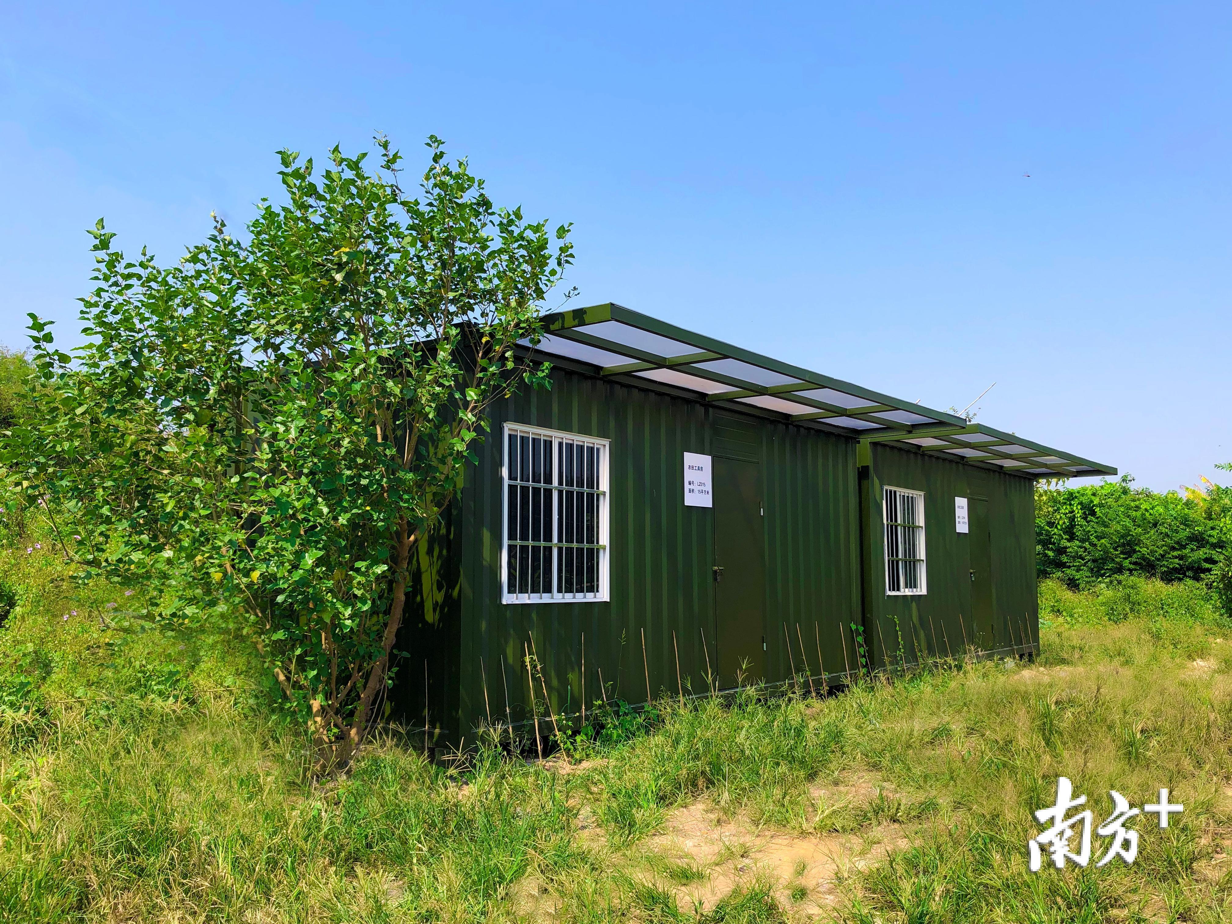 多图常平全面完成田间窝棚整治新建130间农田工具房