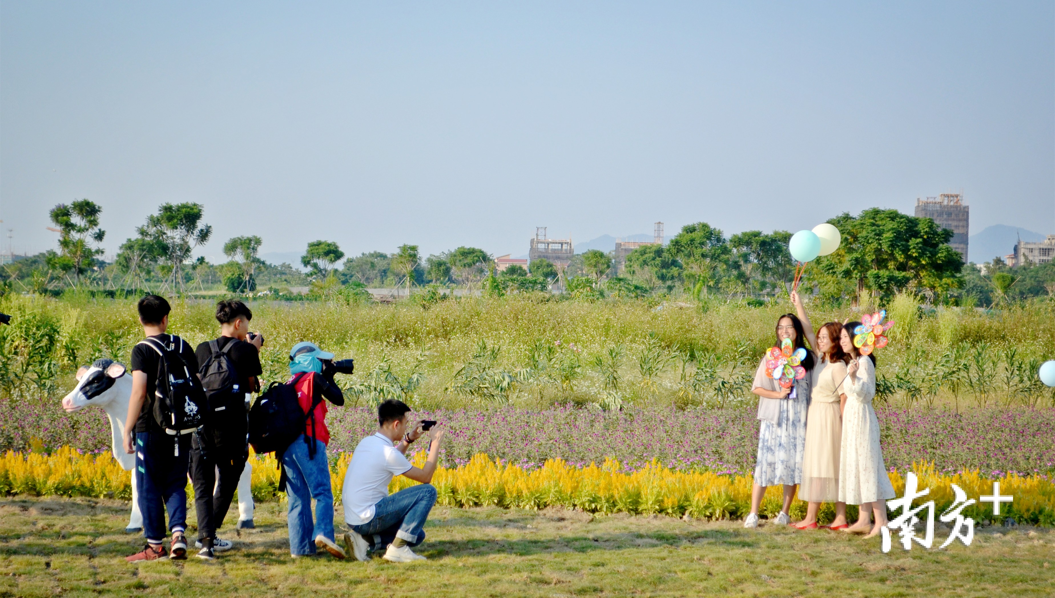 粤韵花海打造初见成效，吸引远近游人前来赏花。乐平镇宣传文体办供图