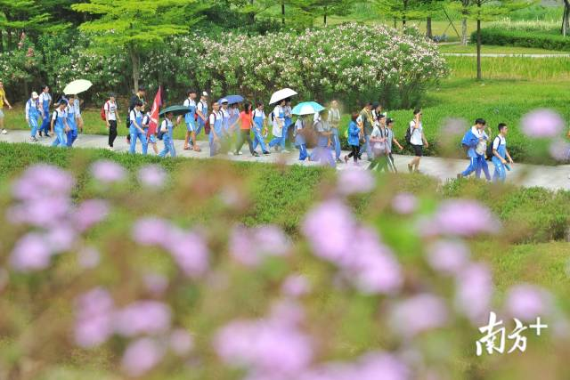 生机盎然的绿岛湖湿地公园为徒步市民带来绿色体验之旅。戴嘉信 摄