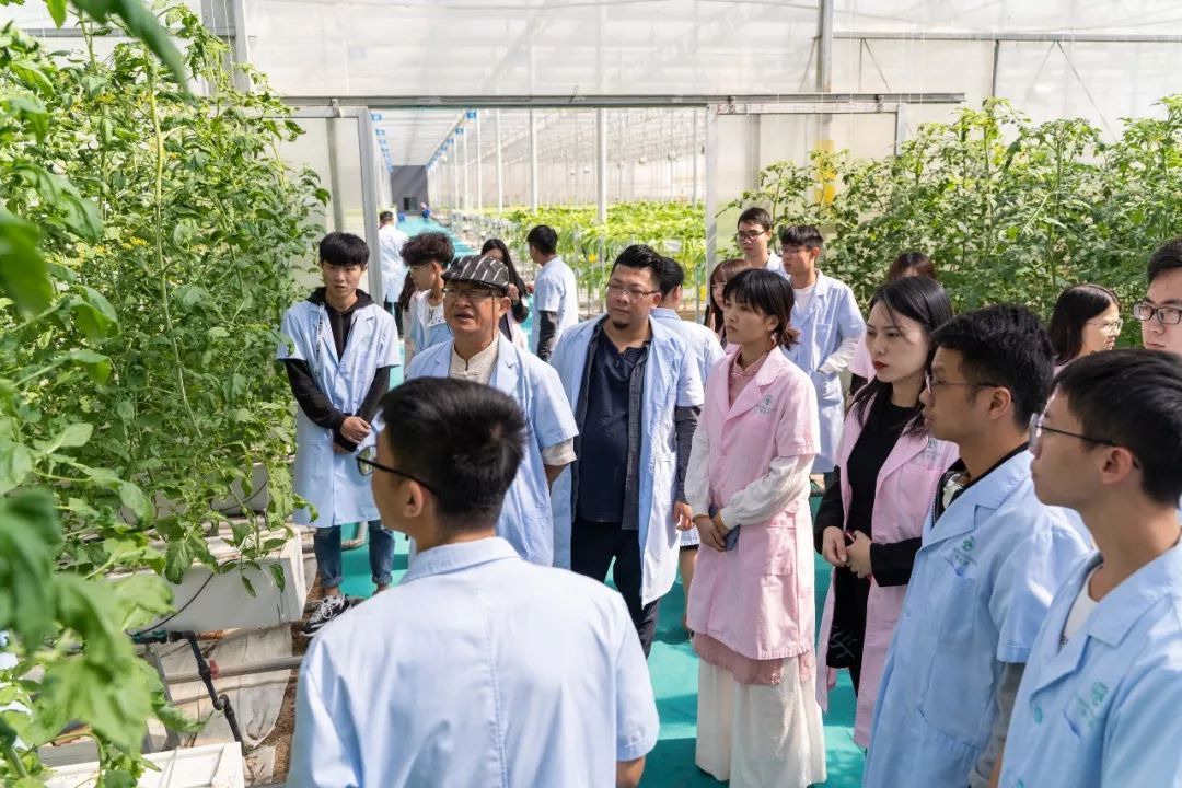 更好地帮助和提升选手项目,创业导师陈荣平和周亚蓝带领大赛十强选手