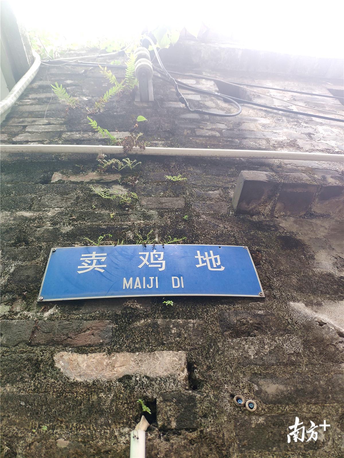 卖鸡地。黄绍侦 摄