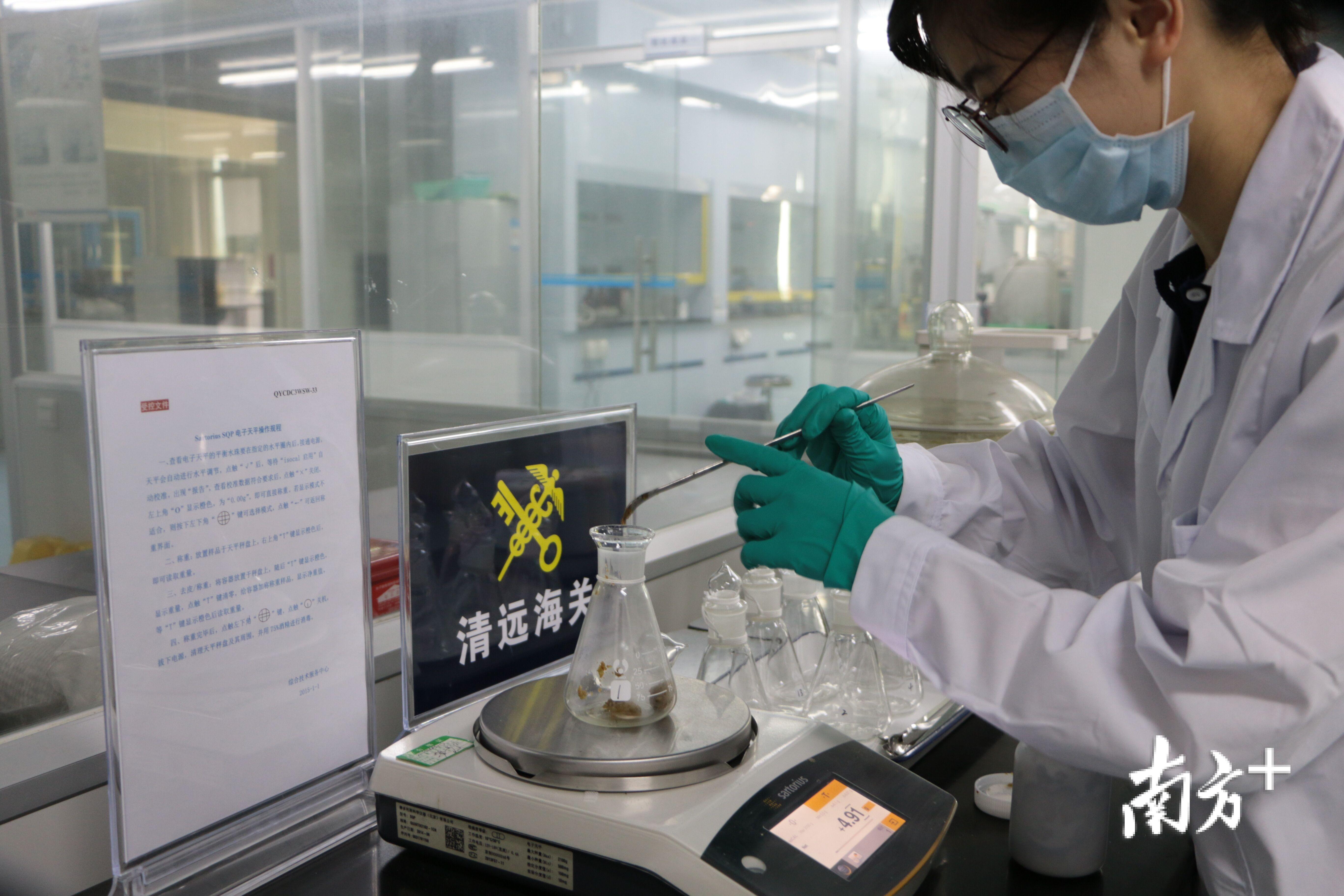 清远海关综合技术服务中心工作人员对供港蔬菜样品进行检测。  关清  摄