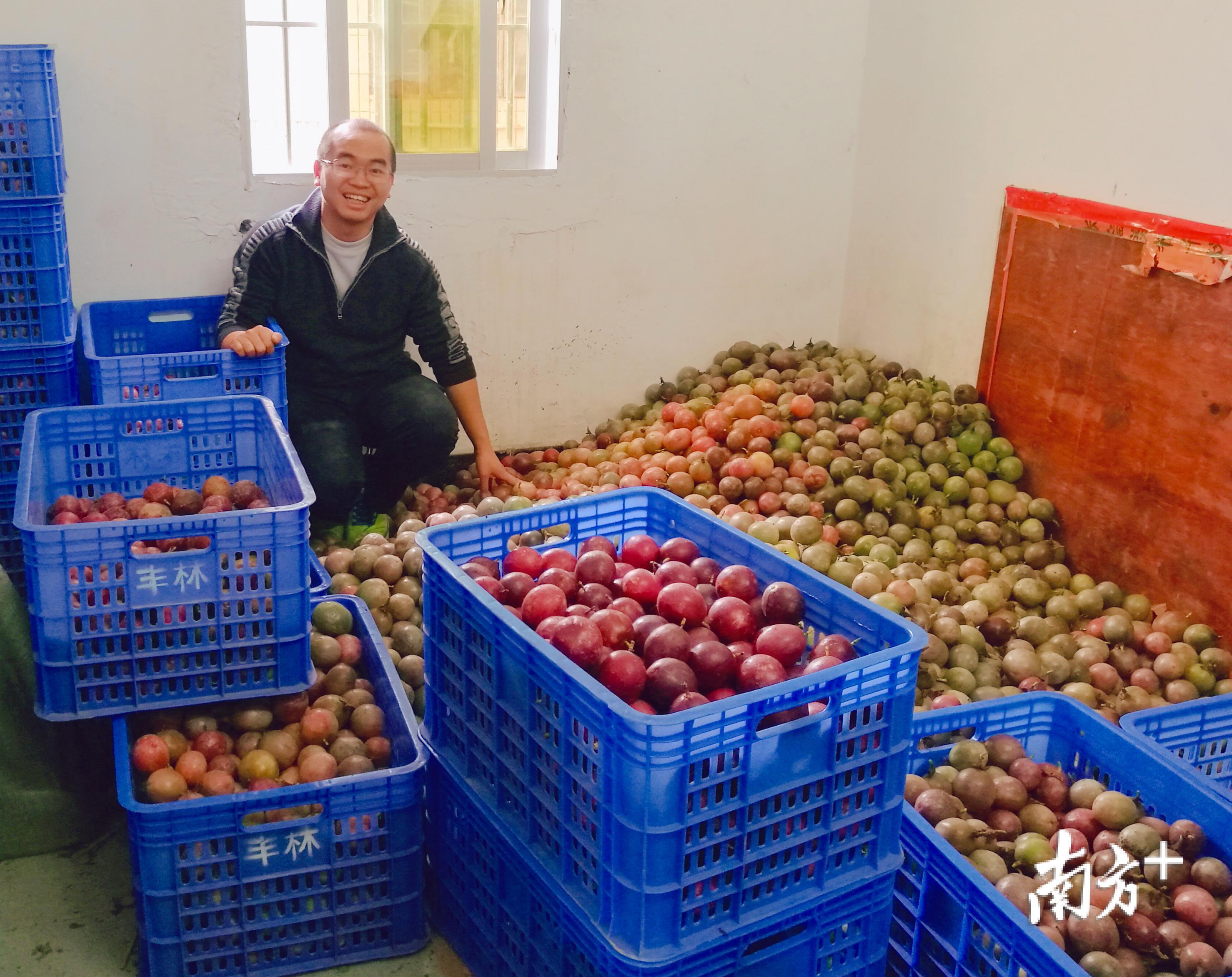 图为龚俊帆准备将百香果打包销售 拱宣摄