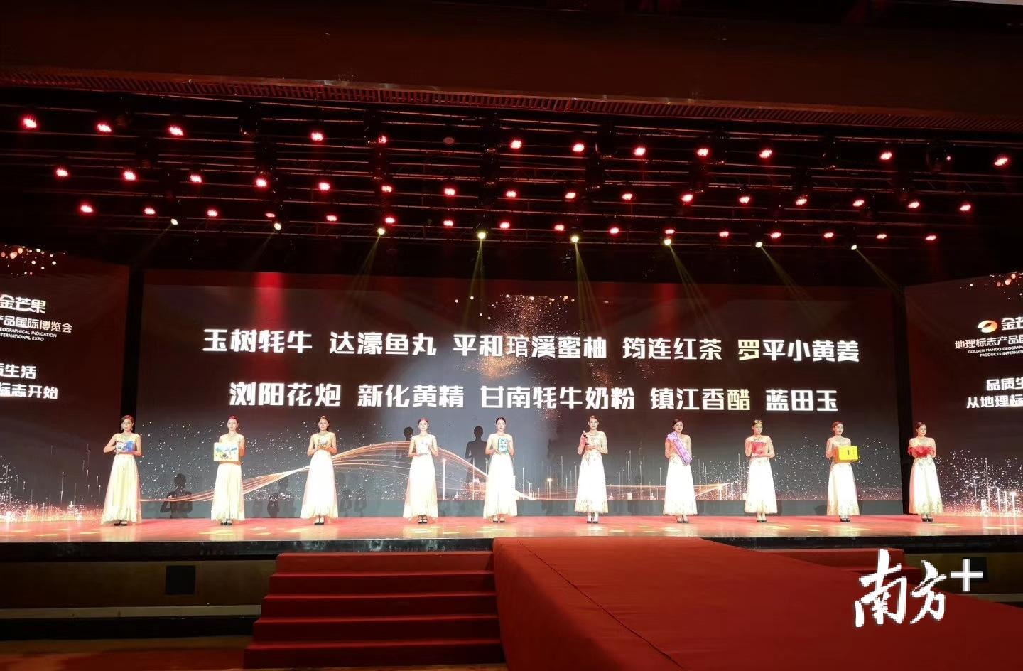 “达濠鱼丸”获得2019金芒果好地标TOP榜年度十大推荐品牌。