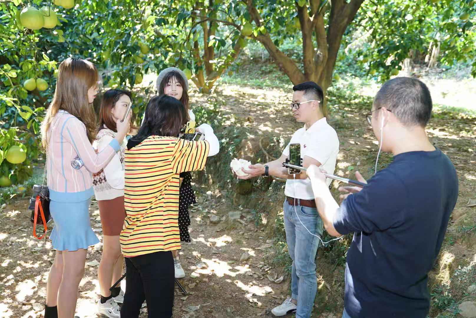 李恩伟（右二）介绍百年金柚