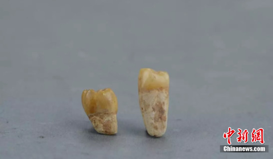 袁一鸣摄 袁一鸣摄