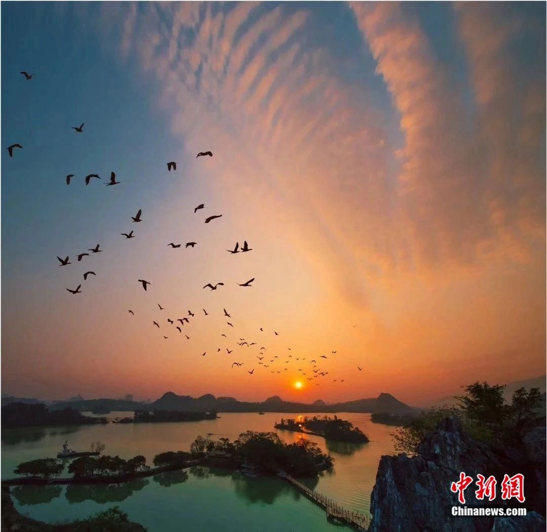 梁剑锋摄 梁剑锋摄