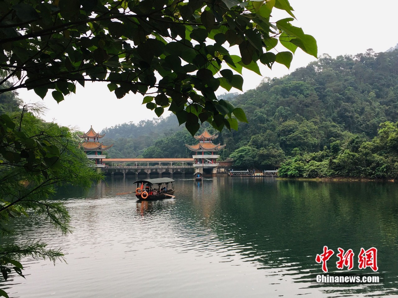 卢育辛摄 卢育辛摄