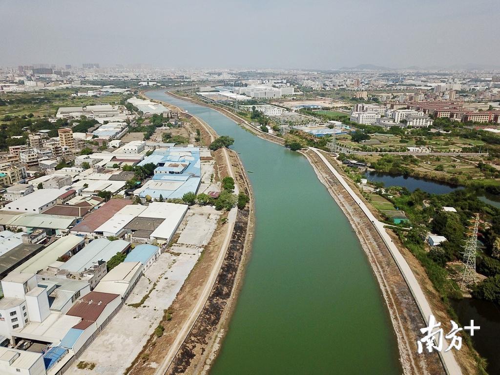 梅溪河是汕头市的“母亲河”。杨立轩 摄
