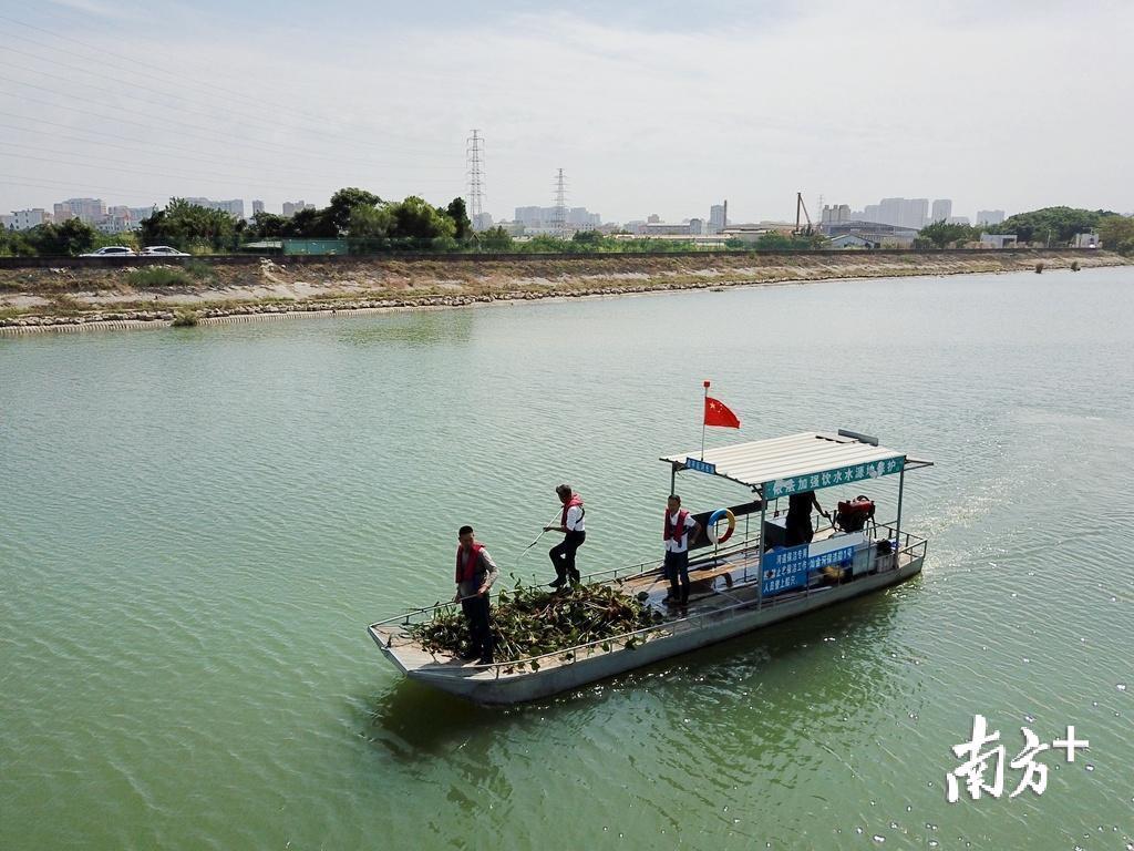 保洁人员每天进行两轮打捞活动。杨立轩 摄