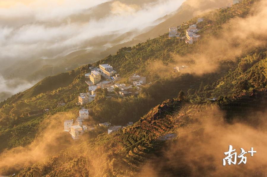 潮州将打造乡村精品旅游线路。图为潮州凤凰山美景。陈锡荣 摄