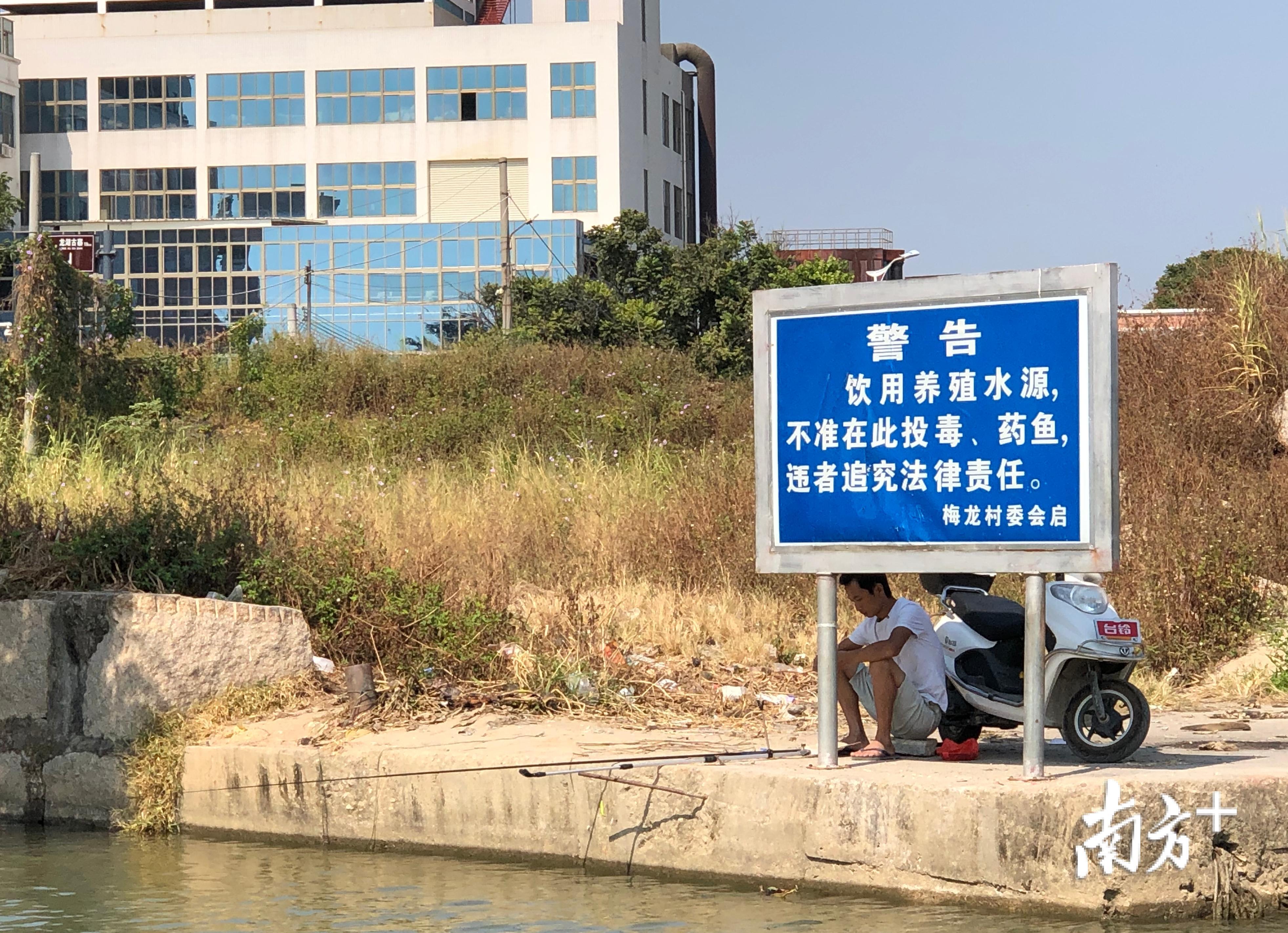 梅溪河上游水源保护区仍能看到有市民违法垂钓。余丹 摄