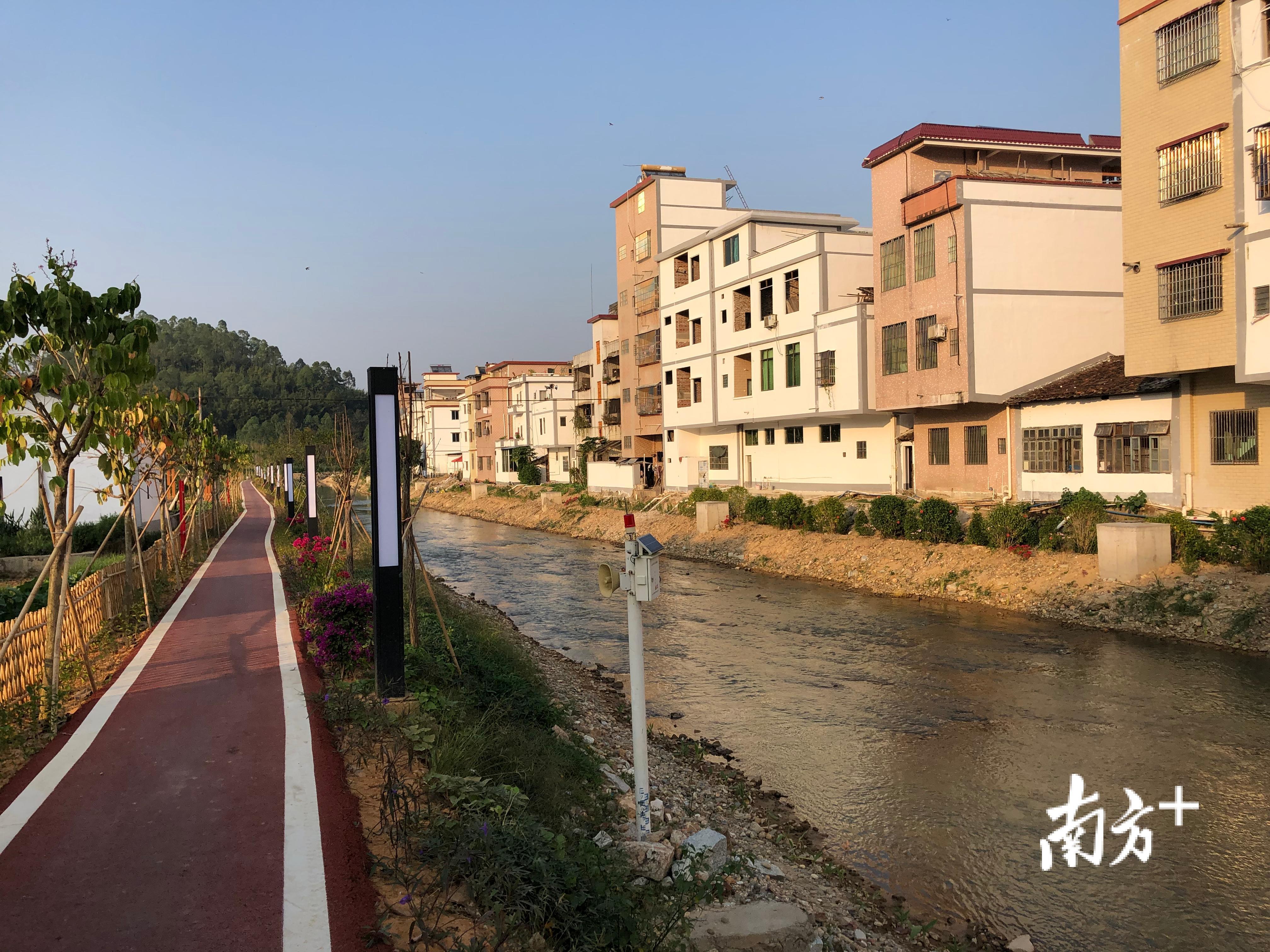 广宁螺岗镇兴建的长1.5千米滨河绿道,成为群众休闲散步的好地方。 广宁螺岗镇兴建的长1.5千米滨河绿道,成为群众休闲散步的好地方。