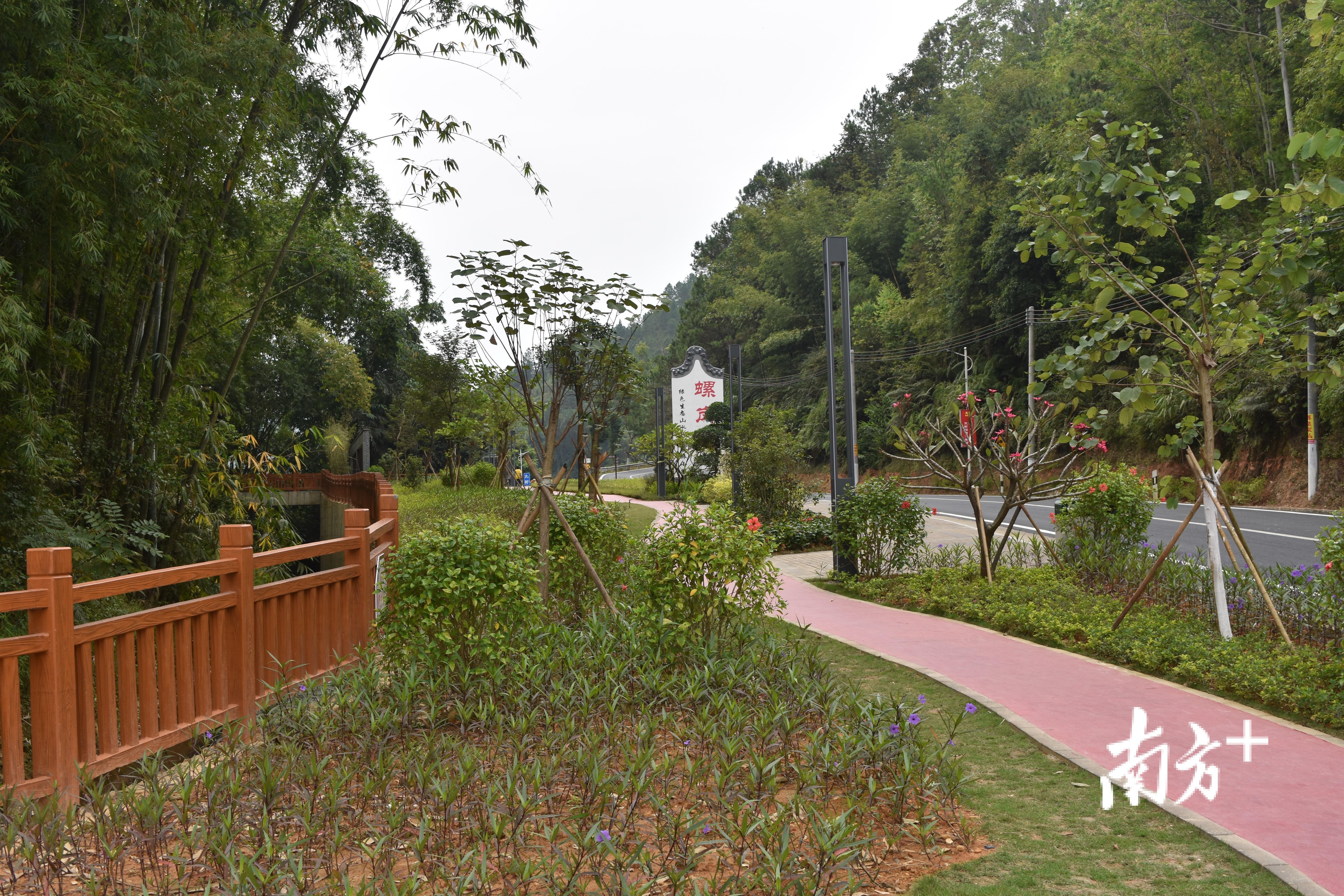 曾经的废旧农舍,变成了胜利花广场。 曾经的废旧农舍,变成了胜利花广场。