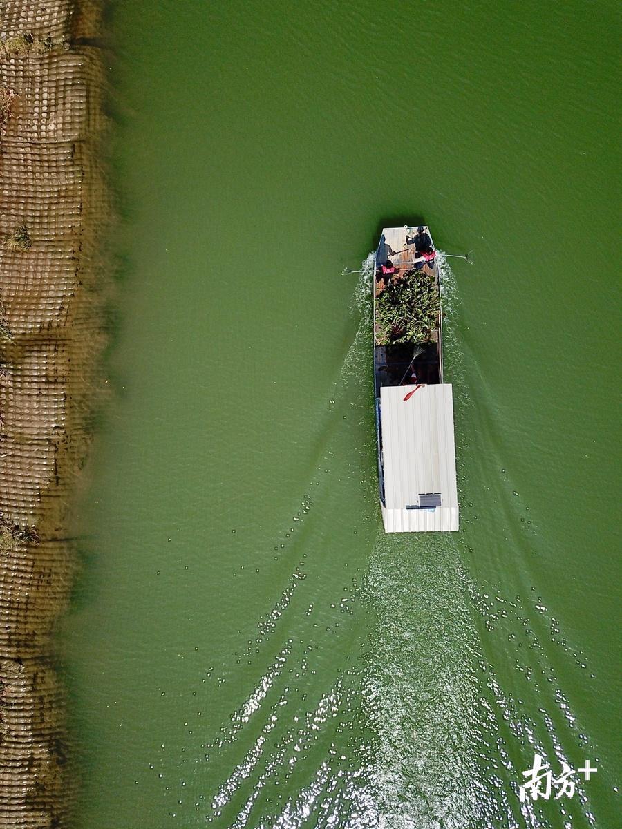 巡河船日复一日出现在梅溪河上，守护着这里的水清岸美。杨立轩 摄