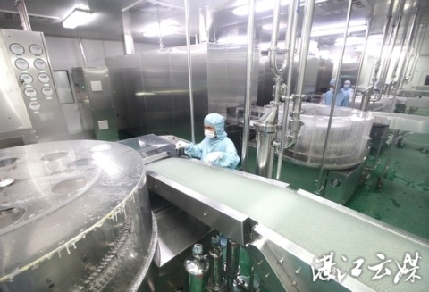 广东南国药业有限公司的工人们在厂房里精细操作。 记者 刘冀城 摄