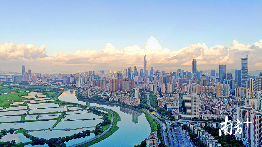 近年来，深圳每平方公里产出财税收入规模在全国大中城市中居于首位。南方日报记者 朱洪波 摄