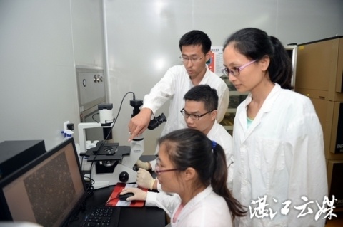 广东普奥思生物科技有限公司的科研人员在公司研发中心里辛勤工作。 记者 吴文康 摄