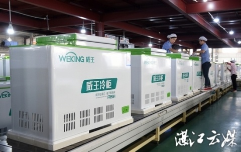 广东威王电器有限公司的女工们正在生产线上进行流水作业。 记者 郎树臣 摄