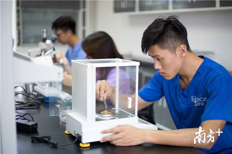 罗伟特(右)、谭慧敏(中)、梁立锋(左)三人在进行科研实验。受访者提供 罗伟特(右)、谭慧敏(中)、梁立锋(左)三人在进行科研实验。受访者提供