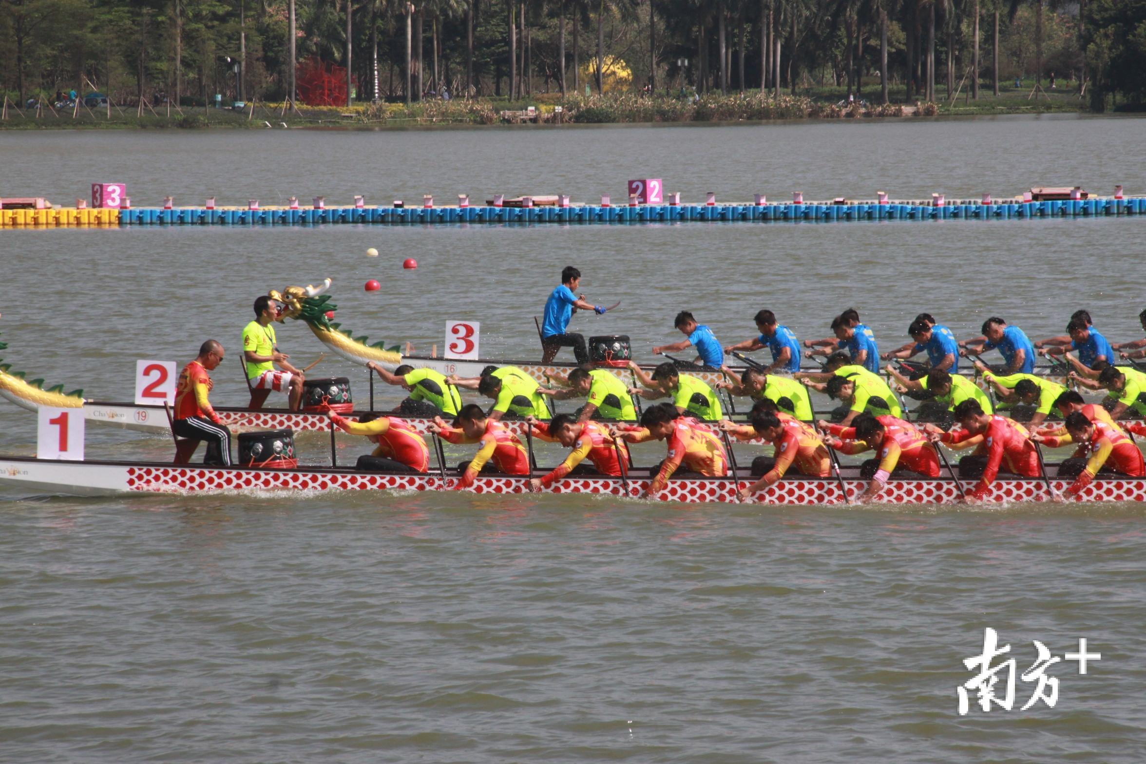 美食文化周期间，中国龙舟大奖赛在顺德桂畔湖举办，吸引了全国41支强队参赛。欧阳少伟 摄