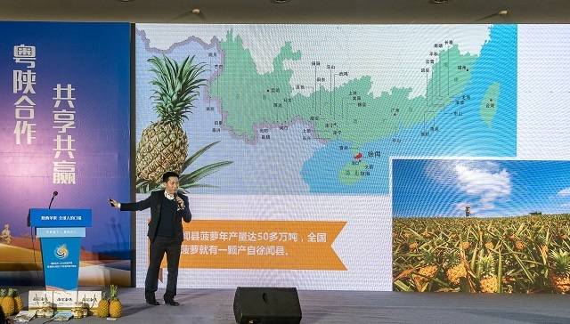 徐闻县国家现代农业产业园创建总进度达100%!菠萝主导产业发展水平全国领先_南方plus_南方+