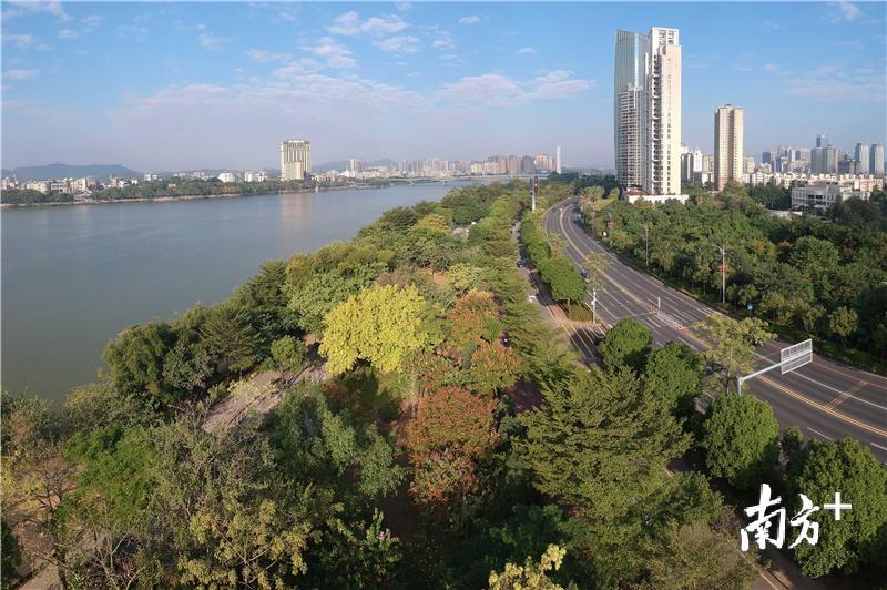 惠州市两江四岸将打造成山水花园城区。南方日报记者  梁维春 摄
