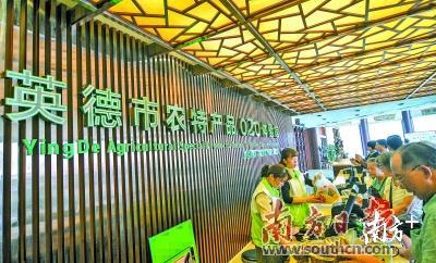英德市电商产业园内，不少旅客正选购农特产商品。南方日报记者 曾亮超 摄