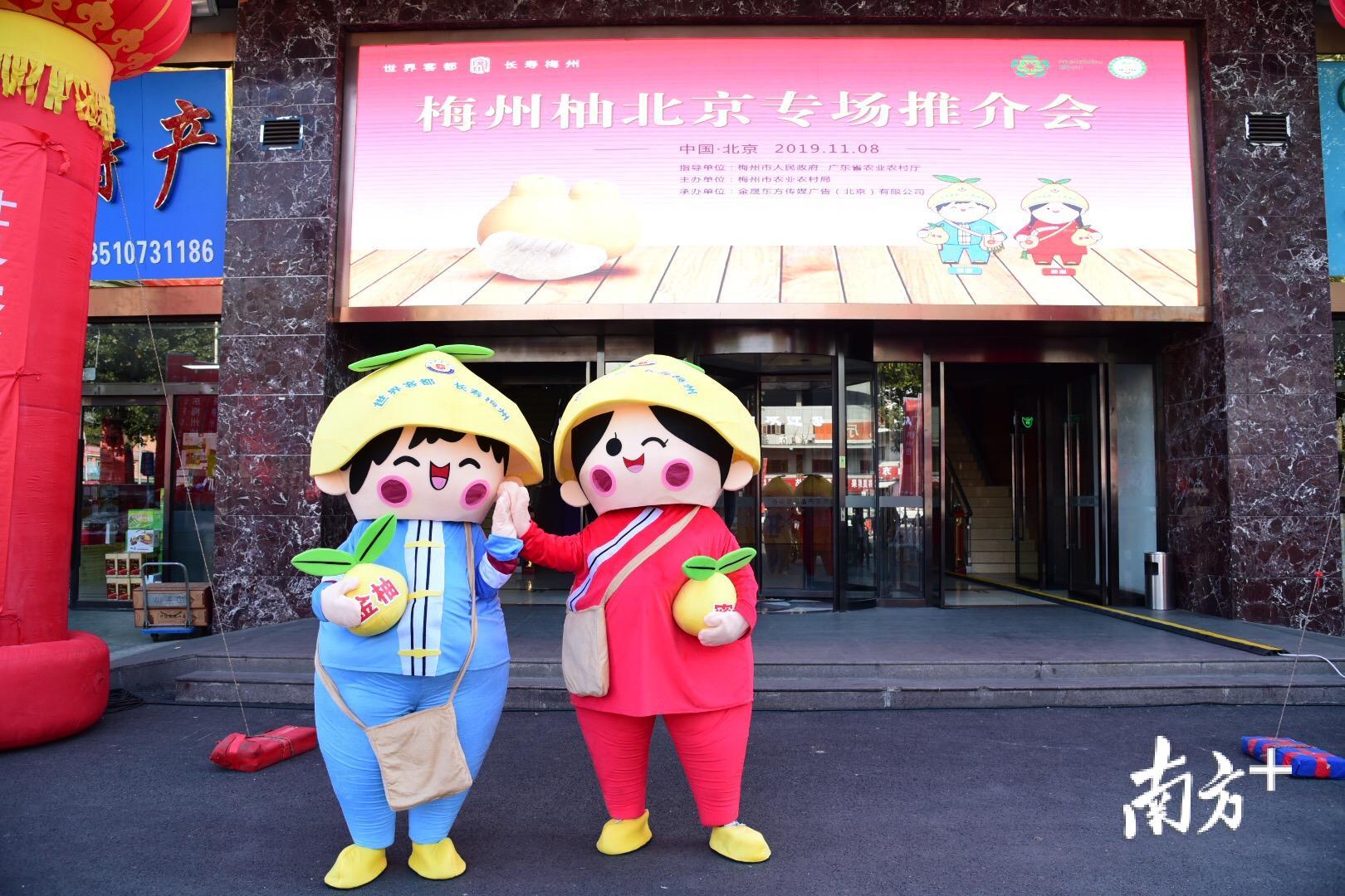 梅州柚吉祥物"客客"都都"走进北京新发地批发市场.