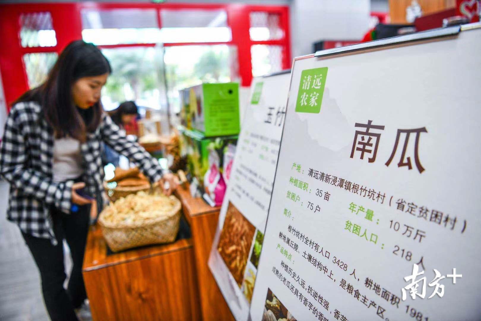 广清农业众创空间正成为清远小规模农户和现代农业服务体系有机衔接的聚集地。曾亮超 摄