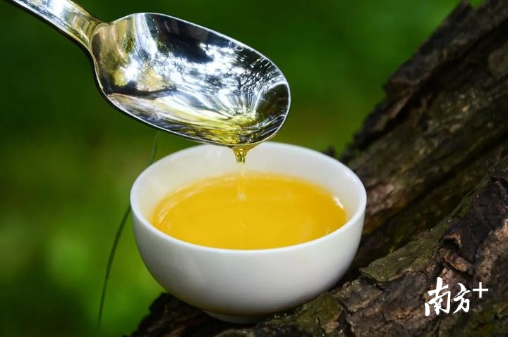 龙川茶油金黄透亮，香气扑鼻。