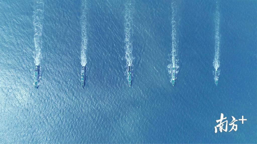 训练中,舰艇单横队航行。 训练中,舰艇单横队航行。