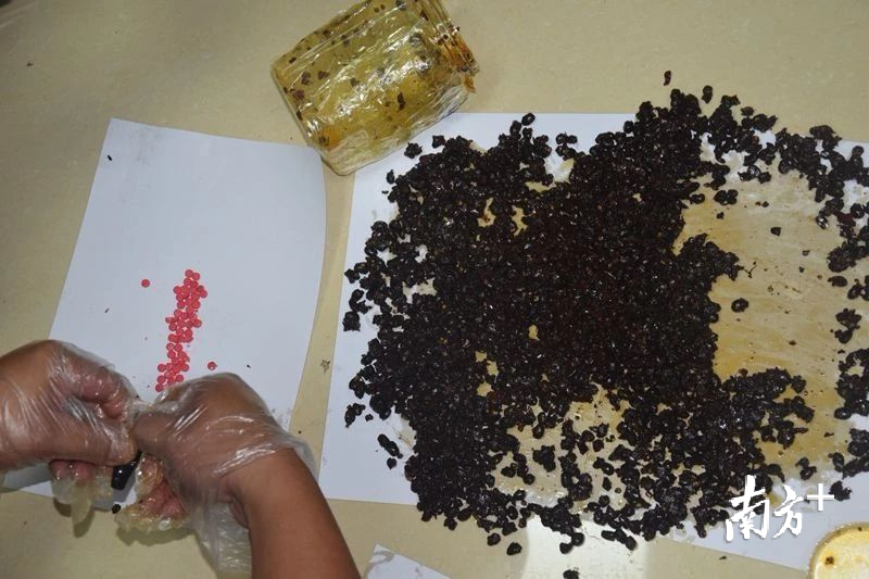 现场缴获毒品“麻古”170余粒。 现场缴获毒品“麻古”170余粒。