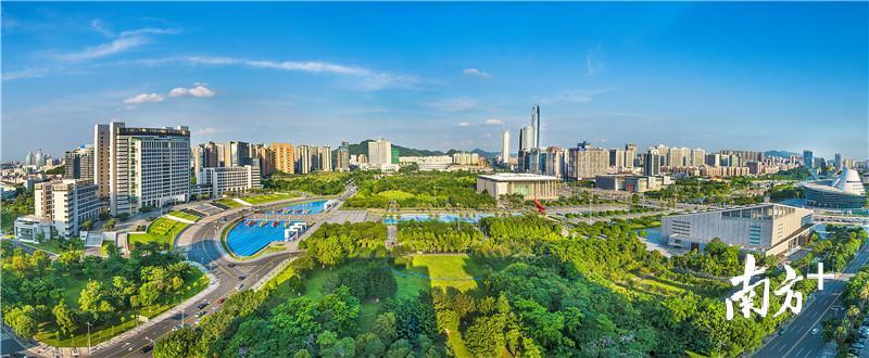  图为东莞市区 孙俊杰摄