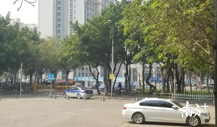 高明汽车客运站出口的“的士侯客区”停着几辆出租车。羊建溶 摄